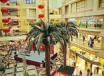 《Temtem》正式版9月6日发行 脱离抢先体验阶段